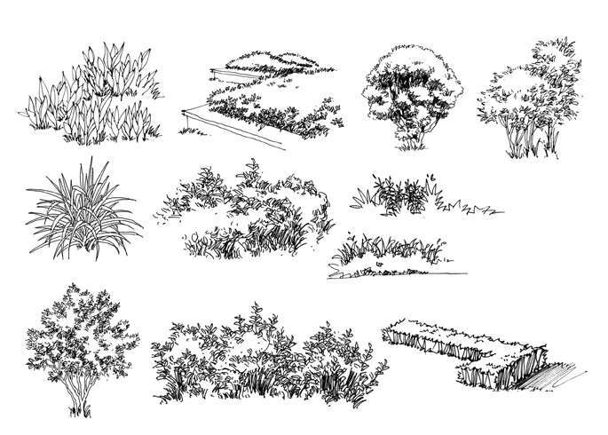 When drawing bushes with a pen dipped in ink you need to learn to cut down on - photo 10