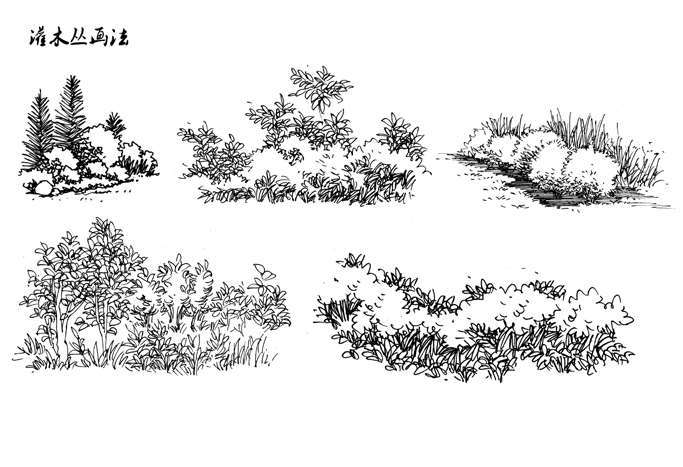 When drawing bushes with a pen dipped in ink you need to learn to cut down on - photo 11