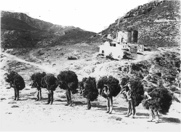 Eight exiles are shown LL16 carrying huge bundles of brushwood to use as fuel - photo 1