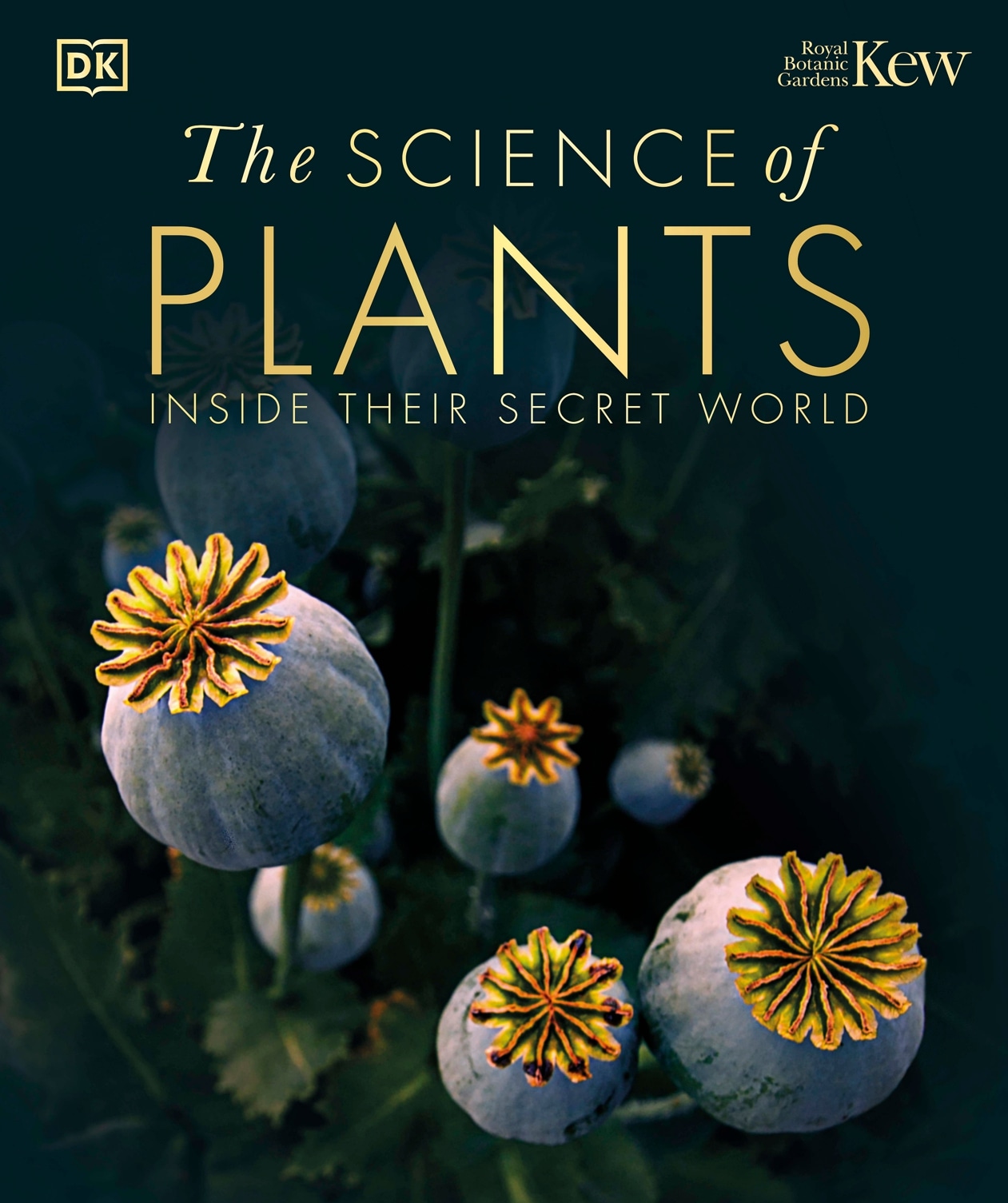 INSIDE THEI R SECRET W ORLD PLANTS SCIENCE The of - photo 1