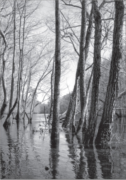 In his classic Old Times on the Mississippi Twain described the river as a - photo 1