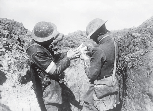 Soldiers preparing to release messenger pigeon Over the relatively short - photo 3