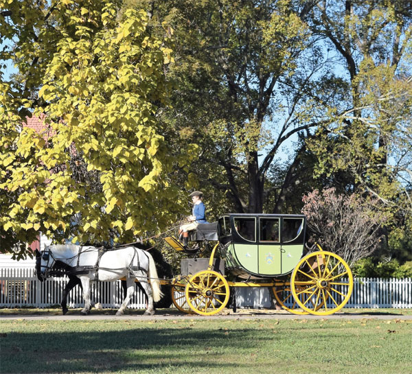 Hh Horse-Drawn Carriage While horses give a carriage ride one sunny - photo 20