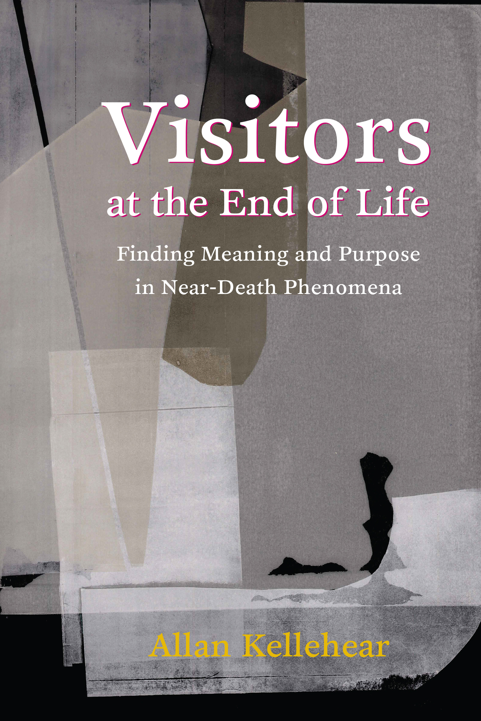 Visitors at the End of Life Visitors at the End of Life Finding Meaning and - photo 1