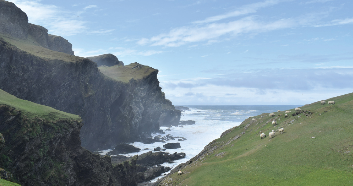 The seabird cliffs on Colonsay are teeming with thousands of razorbills shags - photo 23