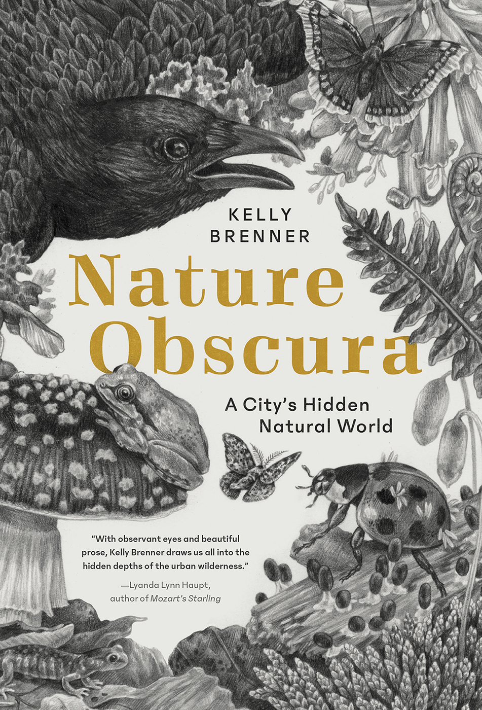 PRAISE FOR NATURE OBSCURA Gorgeously written and deeply felt with rigorous - photo 1