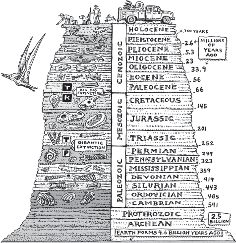 The Story of Evolution in 25 Discoveries The Evidence and the People Who Found It - image 2