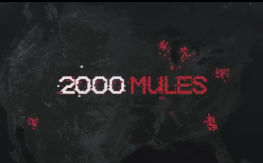 Dinesh DSouza 2000 mules full movie illustrated transcript