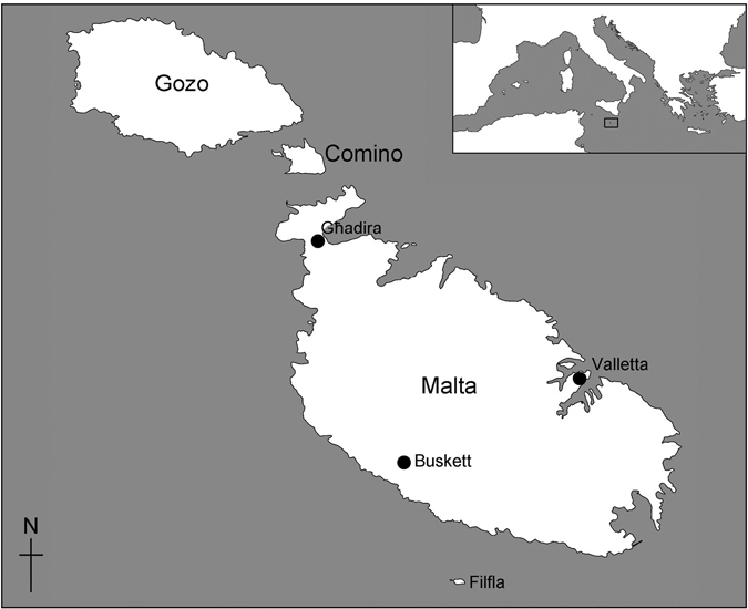 The Maltese archipelago Map created by Victor Falzon published with - photo 2