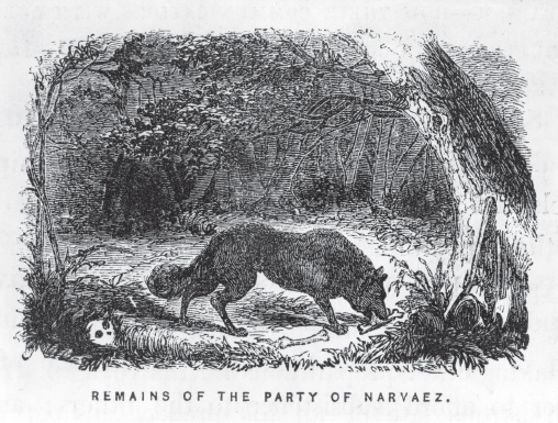 Remains of the Party of Narvaez by John William Orr 1858 Library of - photo 4