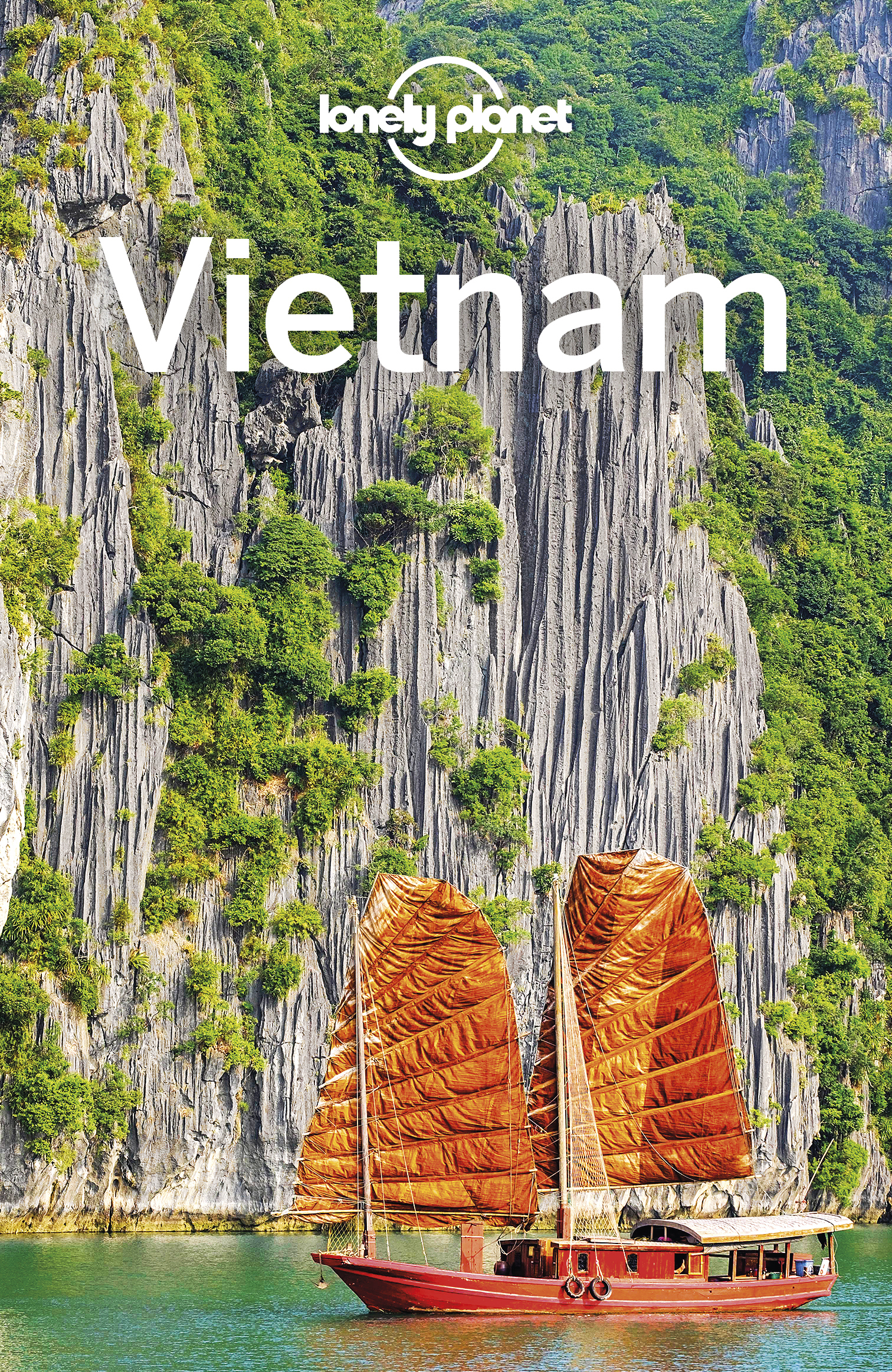 Lonely Planet Vietnam 15 Travel Guide - image 1