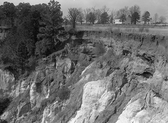 Let us now praise famous gullies Providence Canyon and the soils of the South - photo 2