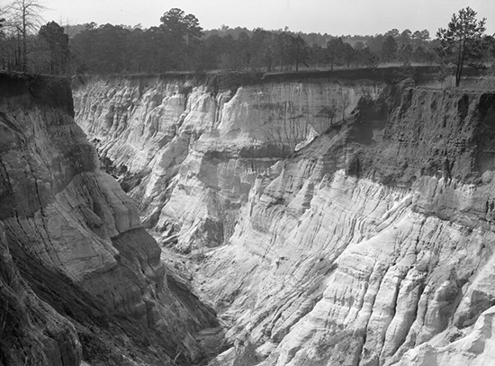 Let us now praise famous gullies Providence Canyon and the soils of the South - photo 6