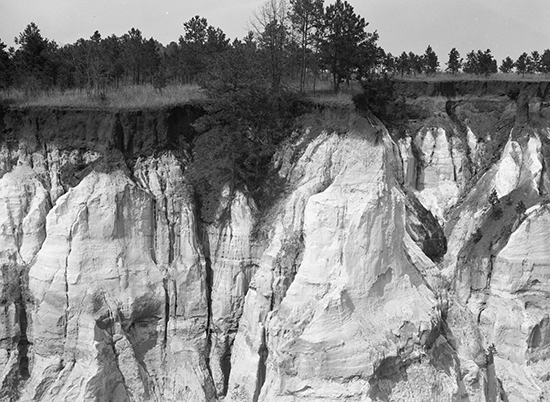 Let us now praise famous gullies Providence Canyon and the soils of the South - photo 7