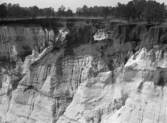 Let us now praise famous gullies Providence Canyon and the soils of the South - photo 8