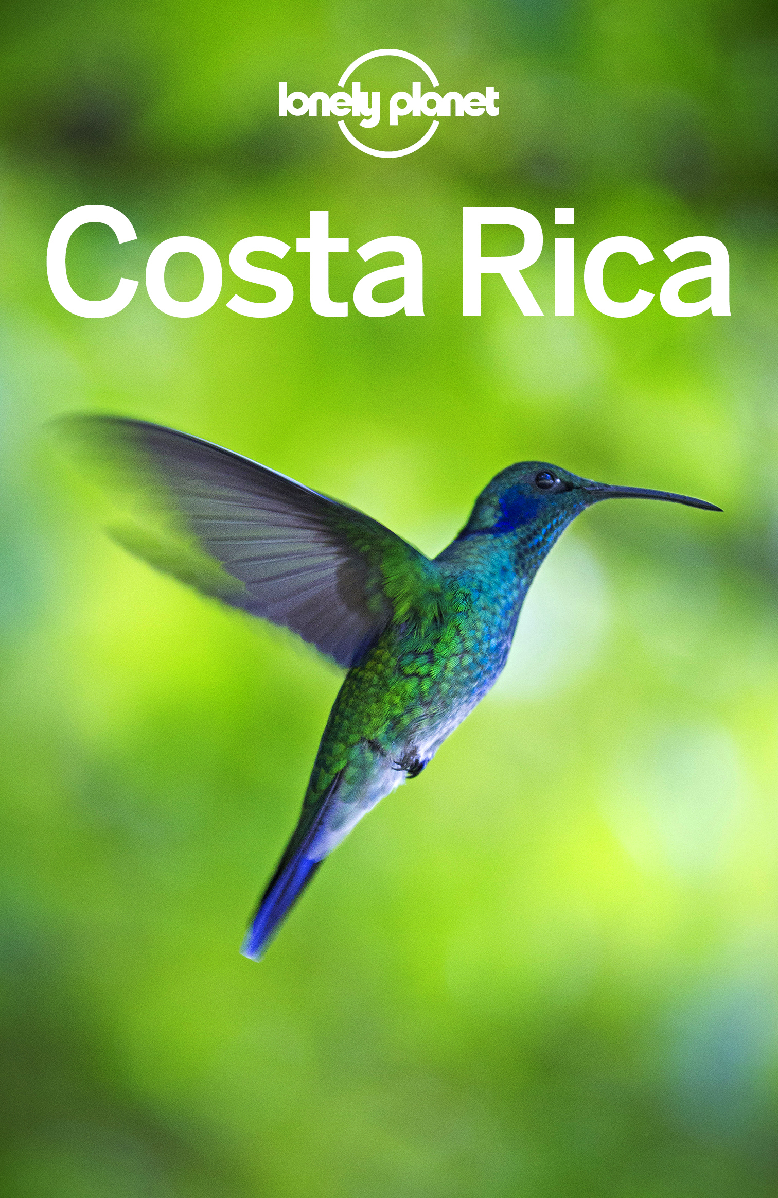 Lonely Planet Costa Rica 14 Travel Guide - image 1