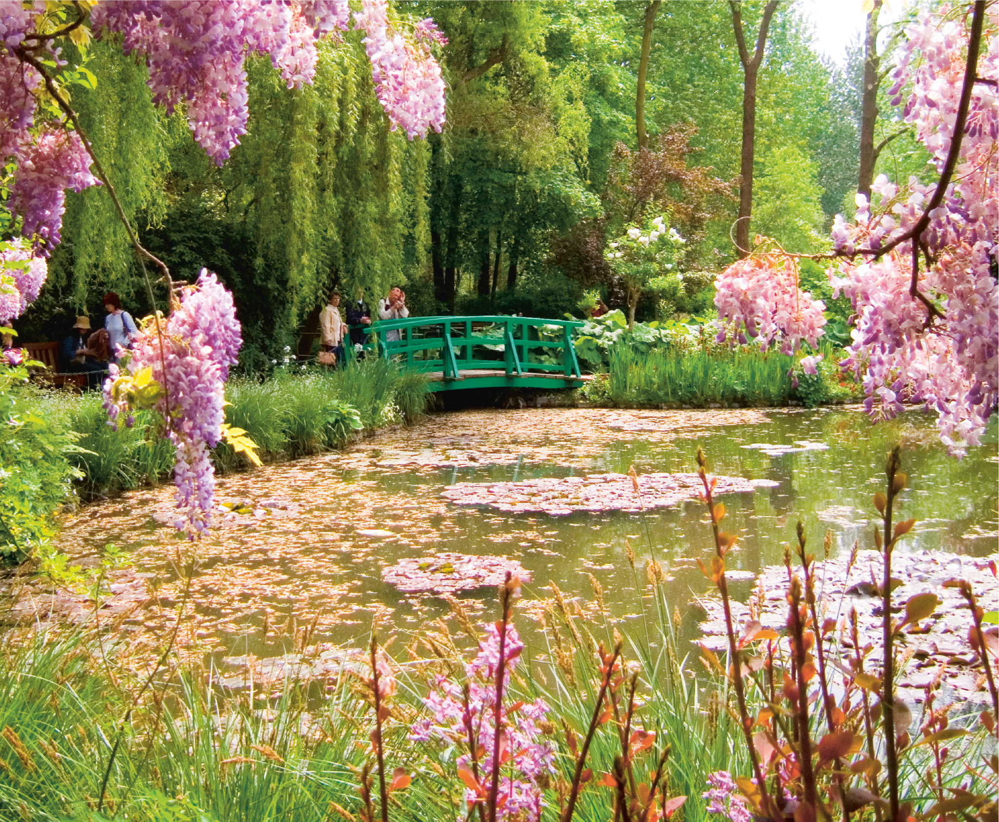 Monets peaceful water garden in Giverny The Eden Projects innovatively - photo 3