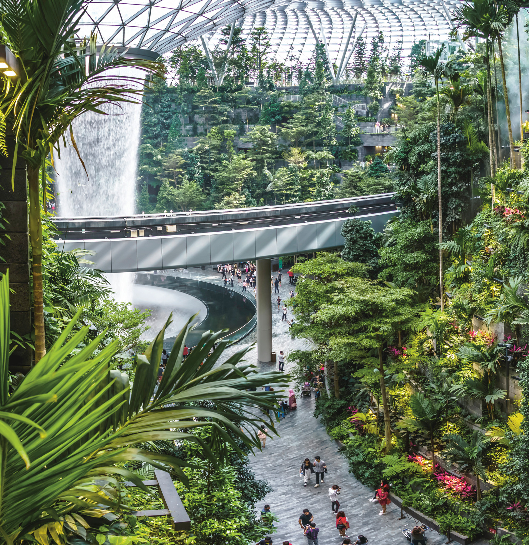 Ambling through Jewel Changi Airports unexpected paradise g g W hen - photo 7