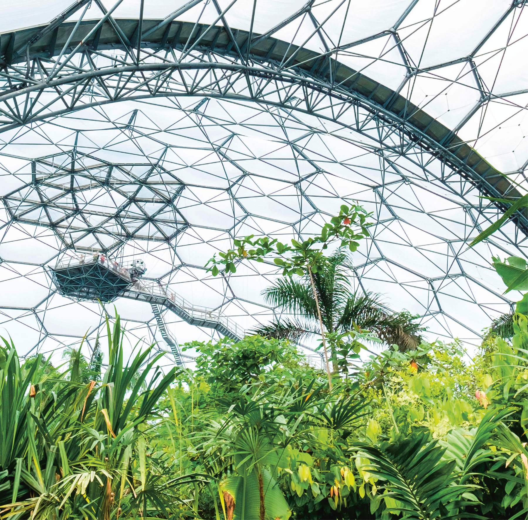 The Eden Projects innovatively designed Rainforest Biome The wild plantings - photo 4