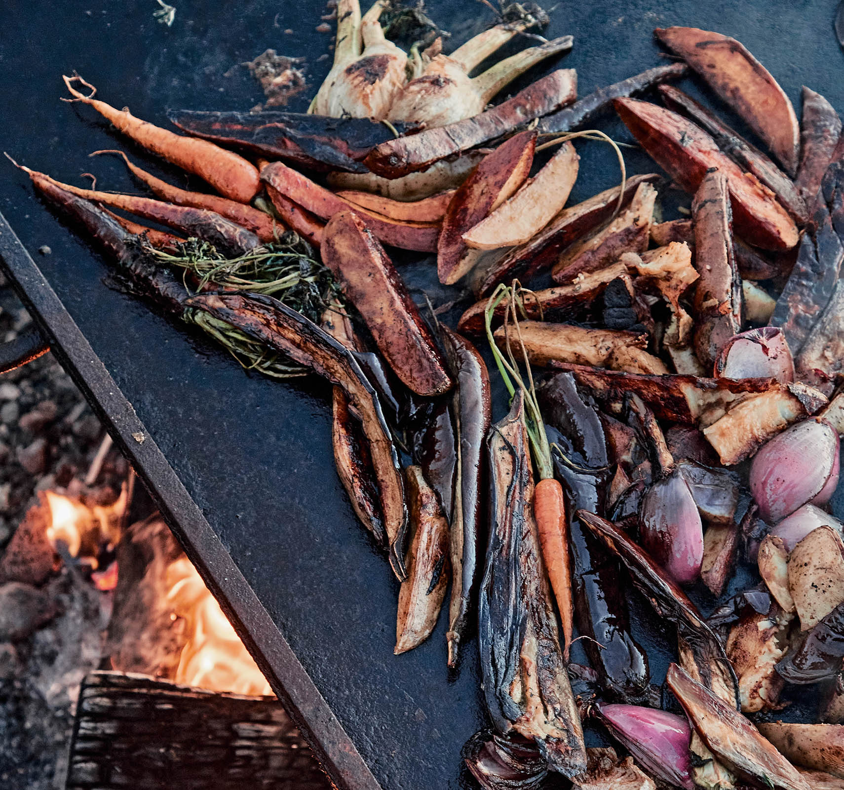 Green Fire Francis Mallmann with Peter Kaminsky and Donna Gelb Principal - photo 3