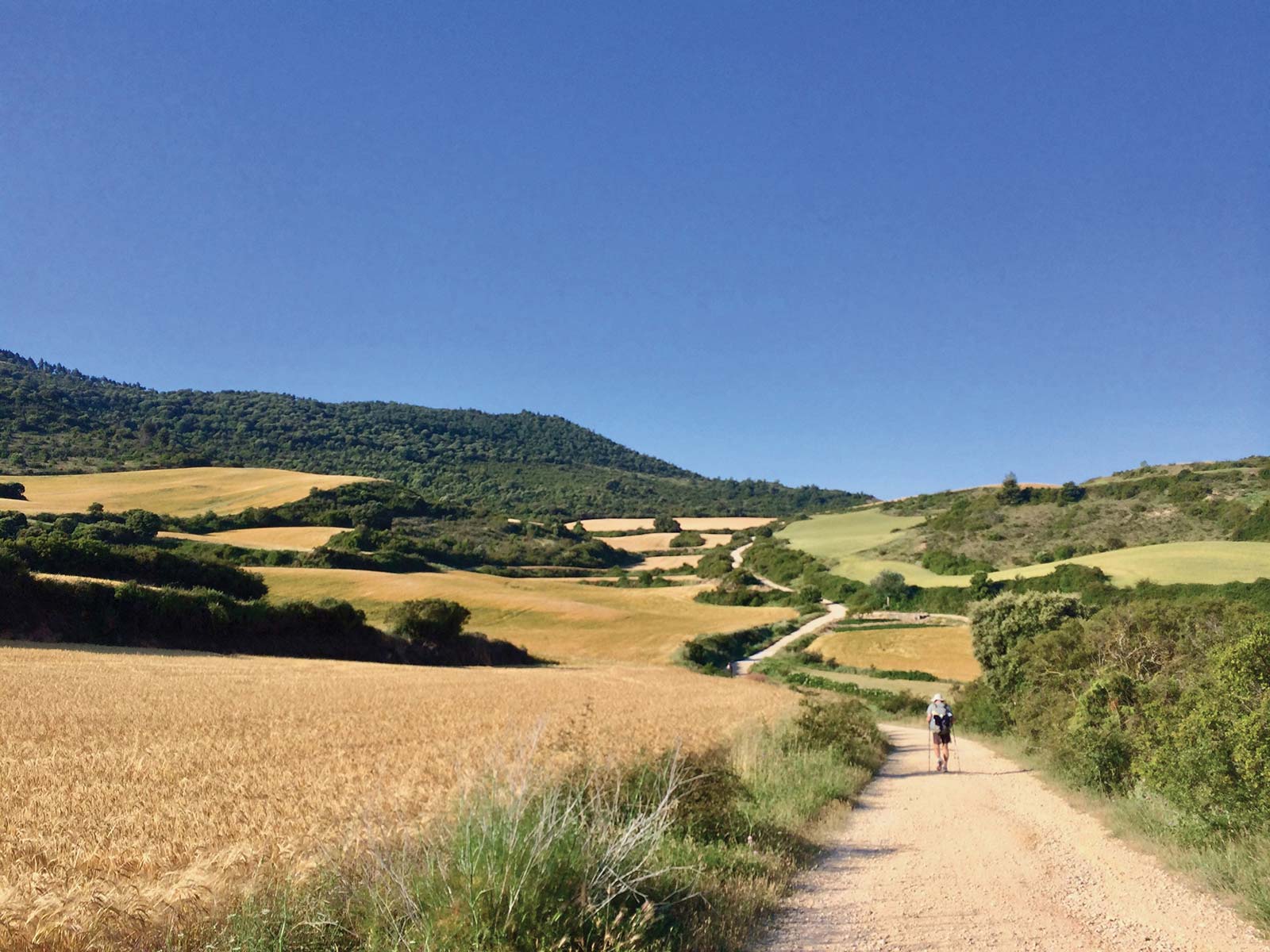 In my many returns to the Camino since my first trek in 1995 I heard a common - photo 5