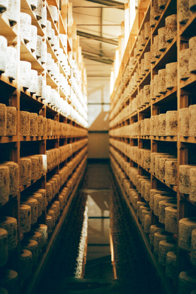 The monumental sight of thousands of cheeses stacked high in the maturing rooms - photo 5