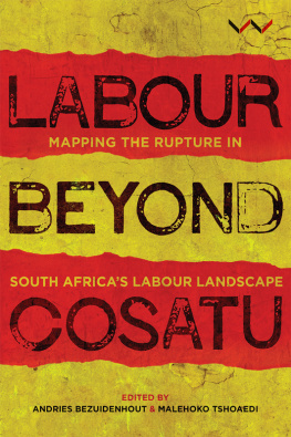 Andries Bezuidenhout - Labour Beyond Cosatu: Mapping the Rupture in South Africas Labour Landscape