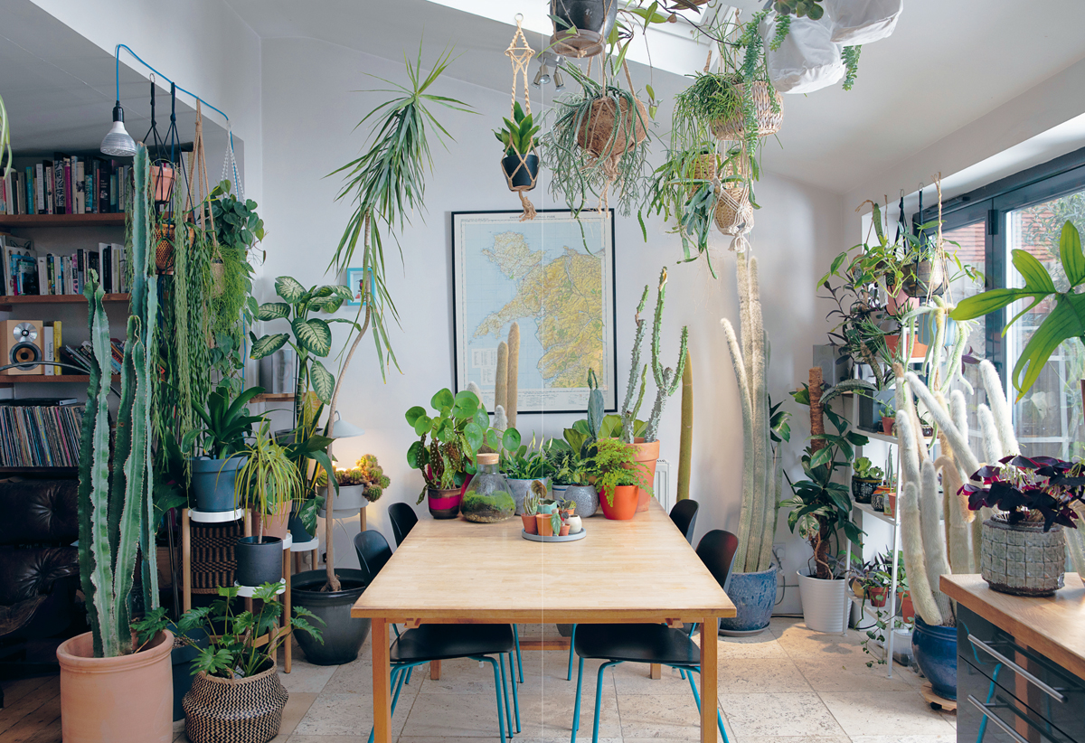 The Plant Rescuer The book your houseplants want you to read - photo 3