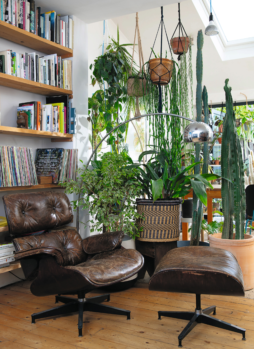 The Plant Rescuer The book your houseplants want you to read - photo 4