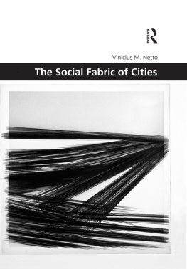 Vinicius M. Netto - The Social Fabric of Cities