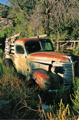 A very restorable Chevrolet pickup rests in the weeds in one of Nevadas best - photo 6