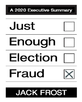 Jack Frost Just Enough Election Fraud, A 2020 Executive Summary