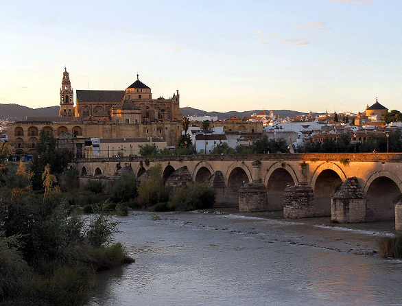 Crdoba Andalusia Marcus family originated from this area of Iberian Baetica - photo 5