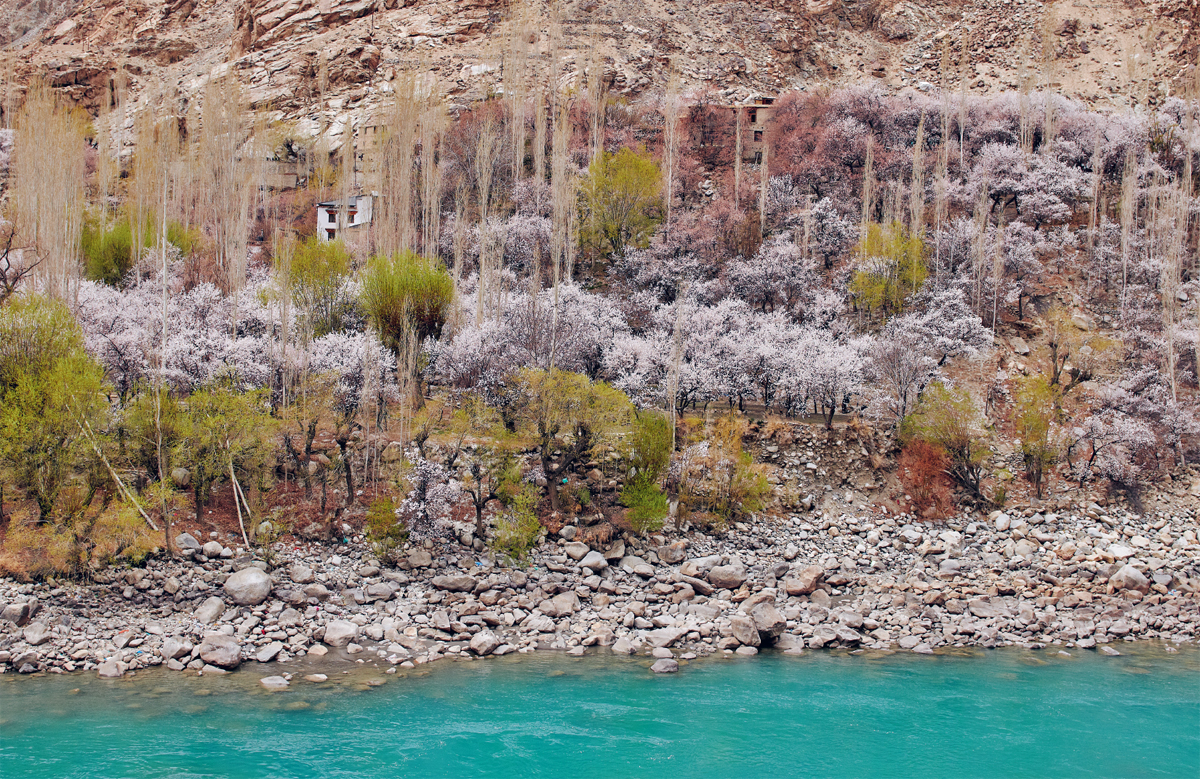 KASHMIR THROUGH ROMY-TINTED LENSES When I was a child in India growing up in - photo 4