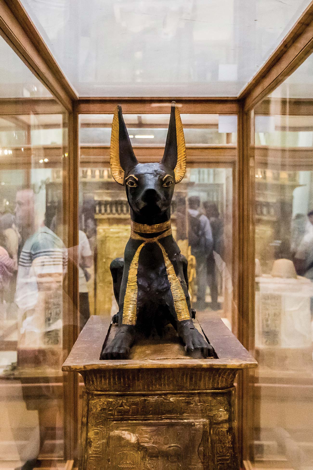 statue of god Anubis from Tutankhamuns tomb now in the Grand Egyptian Museum - photo 12