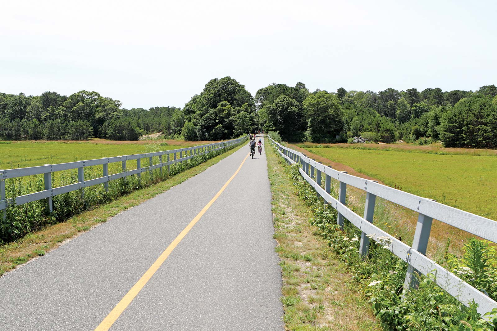 Winding through white pine forests or tucked right next to the sea the Capes - photo 15