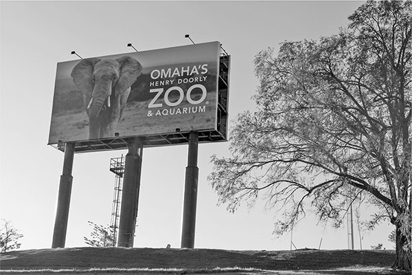 Old Rosenblatt Stadium scoreboard is todays Henry Doorly Zoo billboard Photo - photo 6