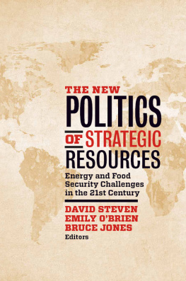 David Steven The New Politics of Strategic Resources: Energy and Food Security Challenges in the 21st Century