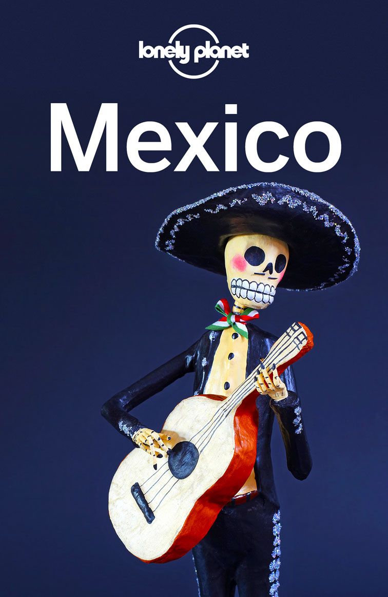 Lonely Planet Mexico 17 Travel Guide - image 1