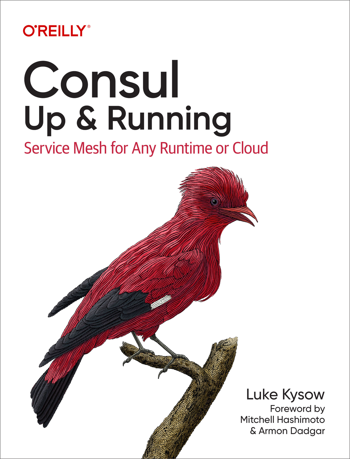 Consul Up and Running by Luke Kysow Copyright 2022 Luke Kysow All rights - photo 1