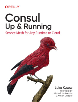 Luke Kysow Consul: Up and Running