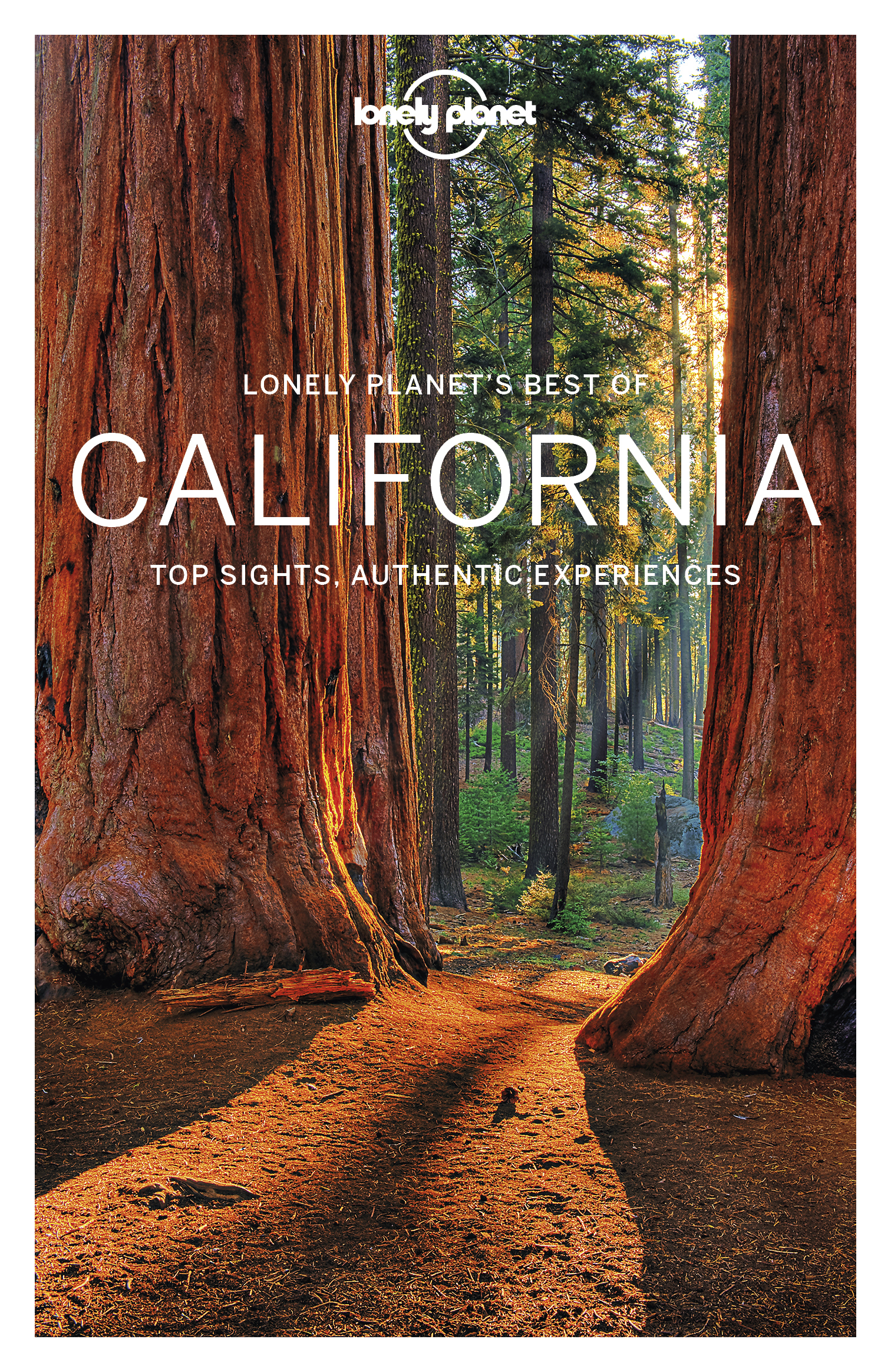 Lonely Planet Best of California 2 Travel Guide - image 1