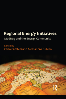 Carlo Cambini Regional Energy Initiatives: MedReg and the Energy Community