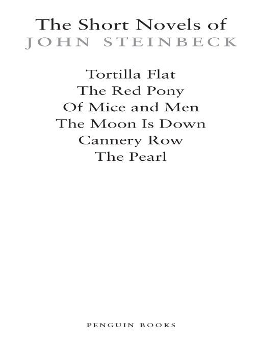 Table of Contents THE SHORT NOVELS OF JOHN STEINBECK Born in Salinas - photo 1