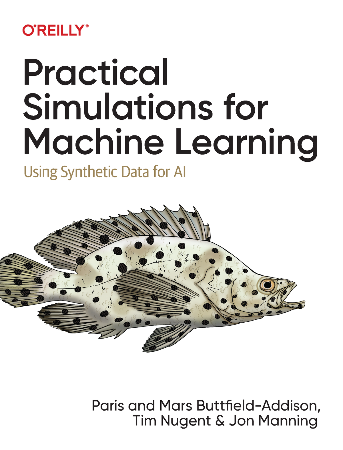 Practical Simulations for Machine Learning by Paris Buttfield-Addison Mars - photo 1