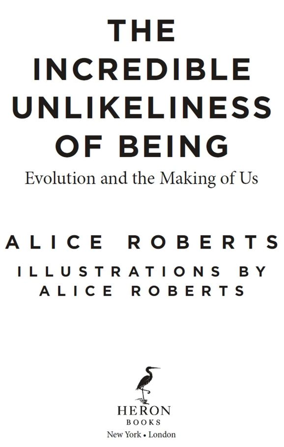 The Incredible Unlikeliness of Being Evolution and the Making of Us - image 1