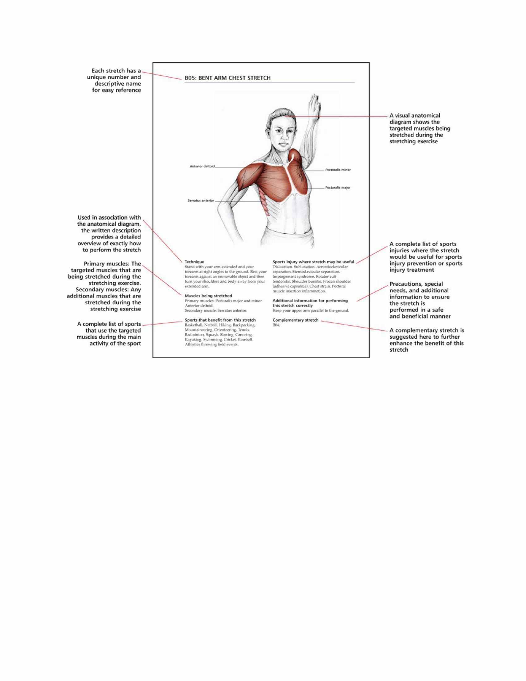 The Anatomy Of Stretching Your Illustrated Overview To Flexibility And Also Injury Rehabilitation - photo 8