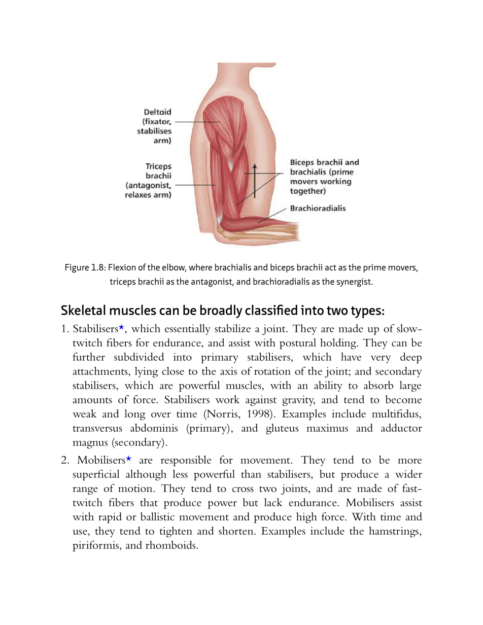 The Anatomy Of Stretching Your Illustrated Overview To Flexibility And Also Injury Rehabilitation - photo 27