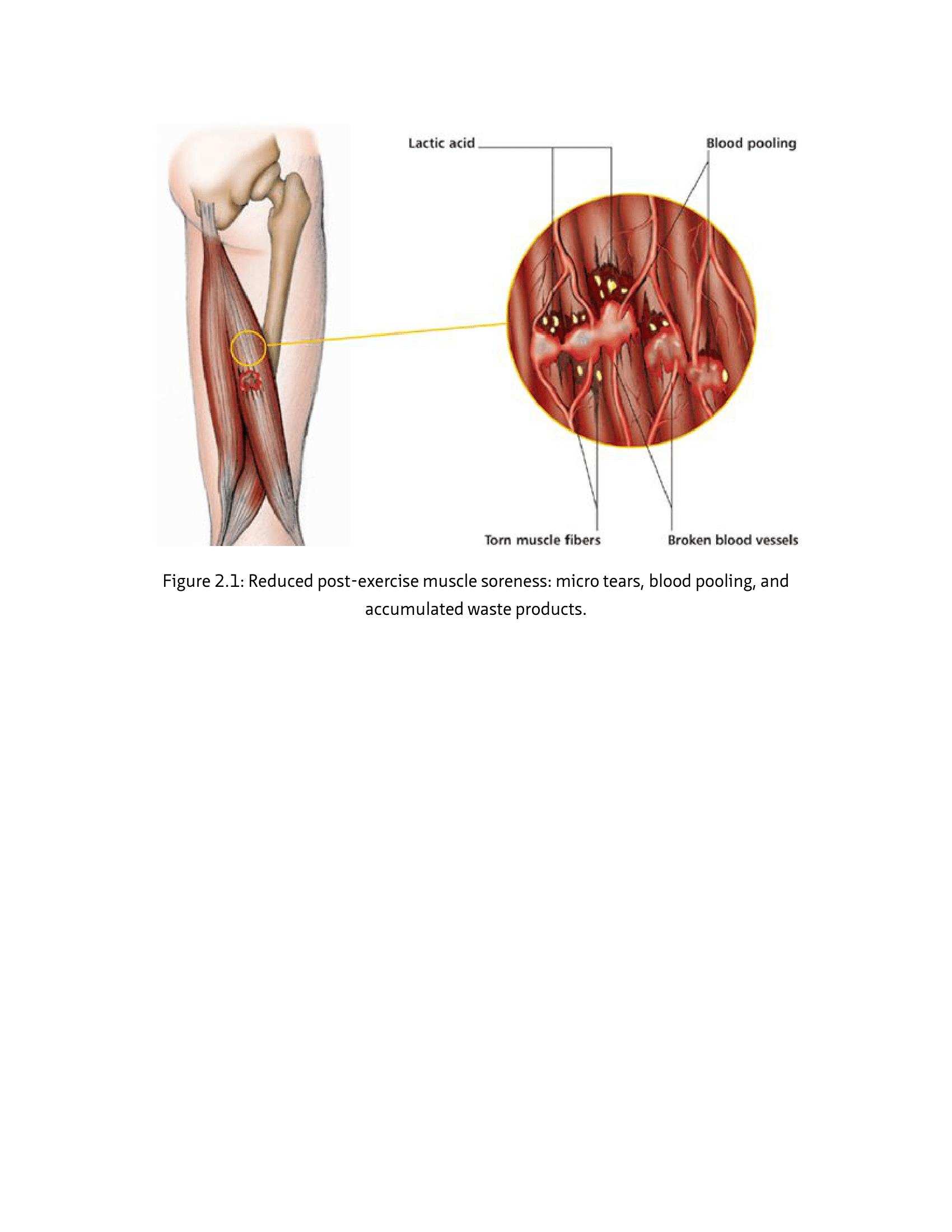 The Anatomy Of Stretching Your Illustrated Overview To Flexibility And Also Injury Rehabilitation - photo 40