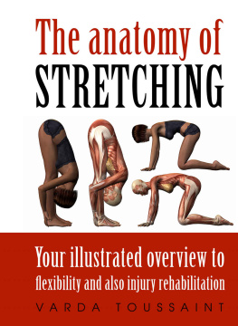 Toussaint The Anatomy Of Stretching Your Illustrated Overview To Flexibility And Also Injury Rehabilitation